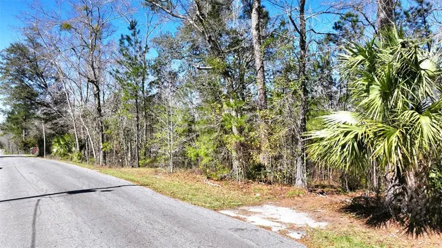 $6,800 | 455 Line Street, Chattahoochee, FL 32324