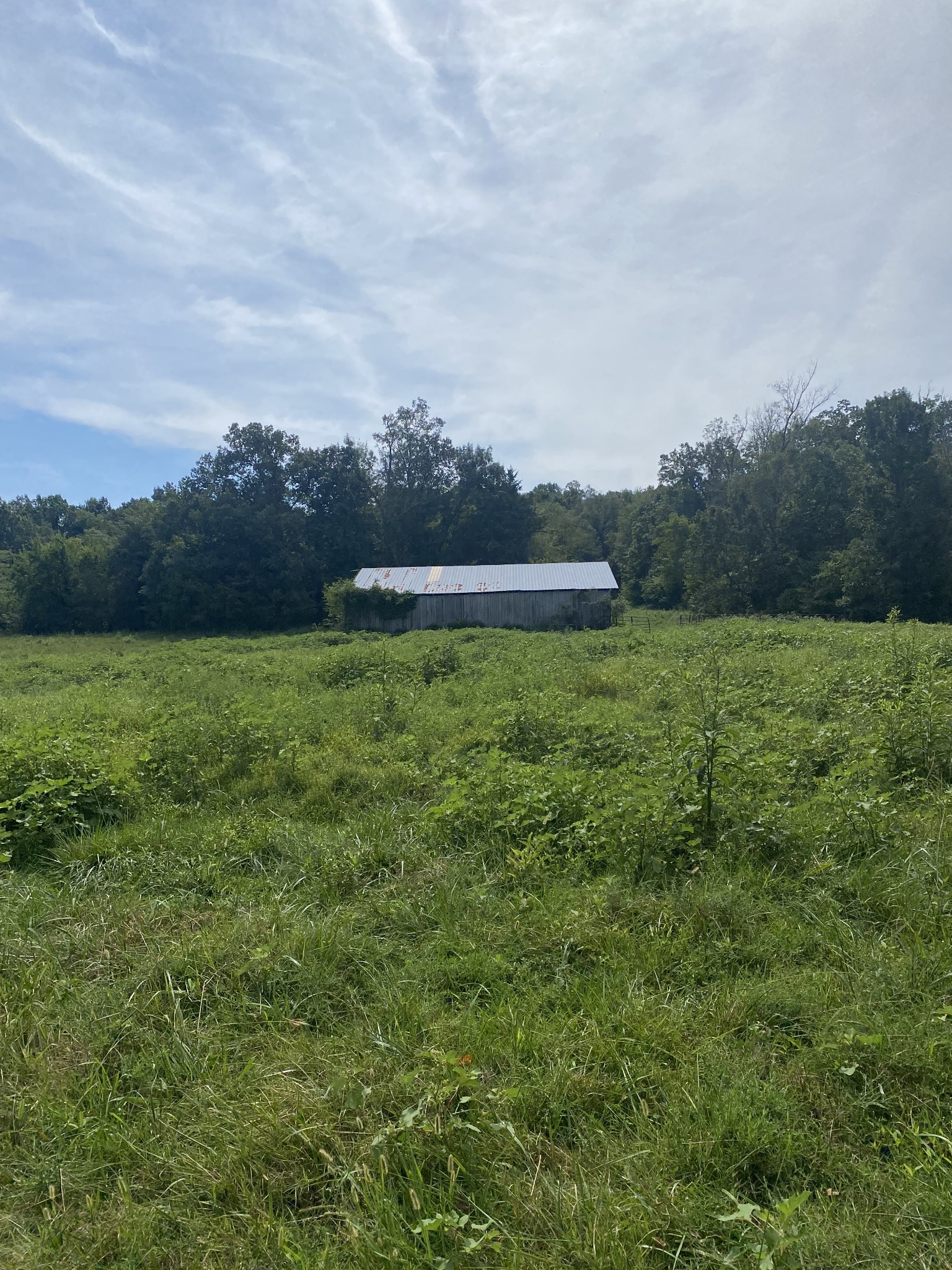 0 Potter Road West Alexandria, TN 37012 - Photo 4 of 16 Gallery Image 4