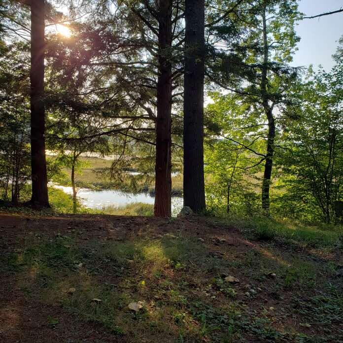 261 Flat Ground Road Acton, ME 04001 - Photo 11 of 25 signal-2022-09-10-18-25-26-000