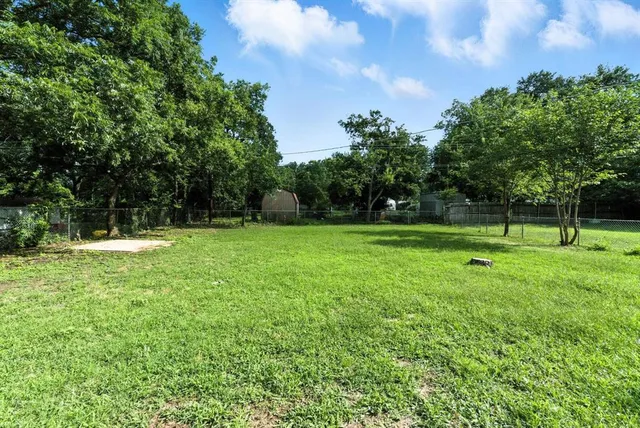 a view of a park with large trees
