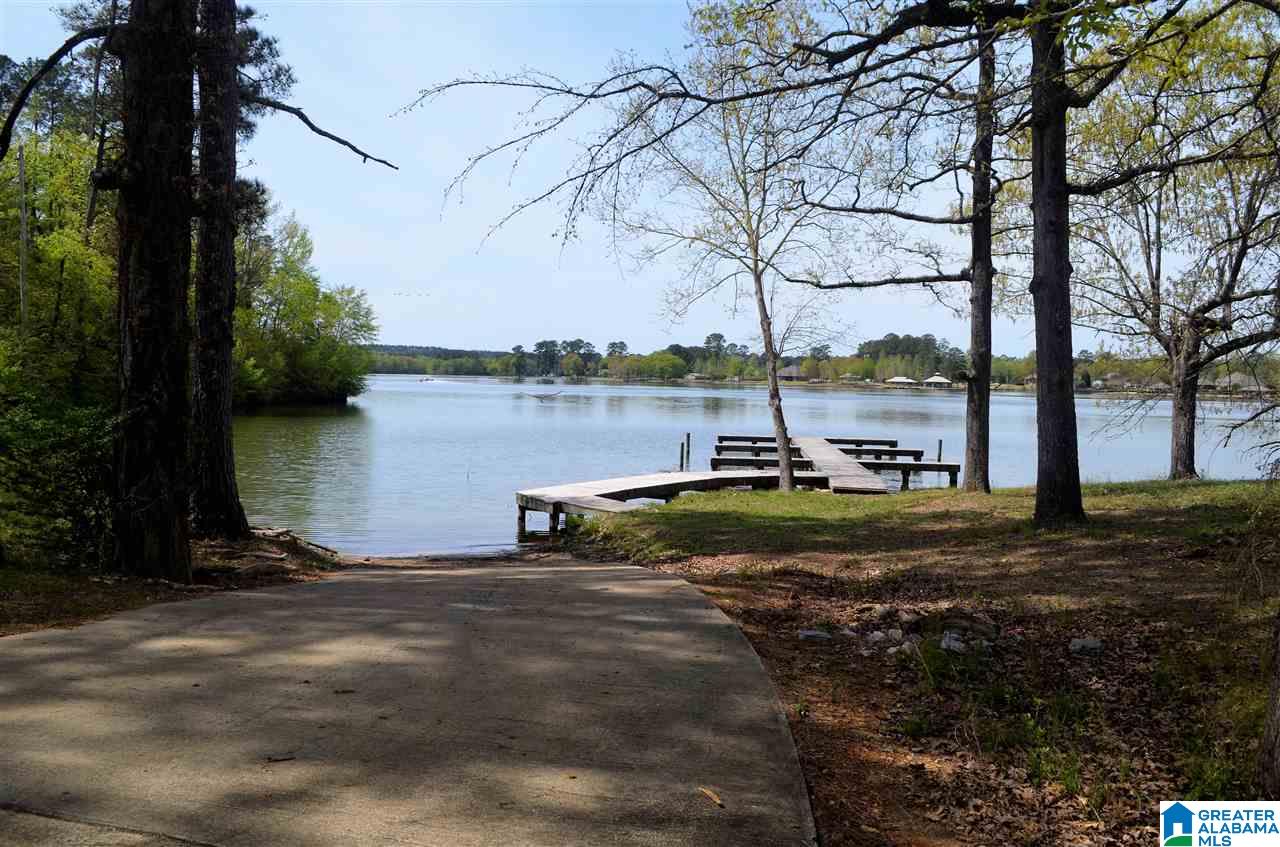 Castaway Road Sylacauga, AL 35151 - Photo 25 of 28