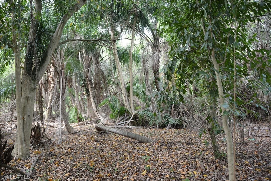 1825 Lavilla Road Punta Gorda, FL 33950 - Photo 8 of 11 Gallery Image 8