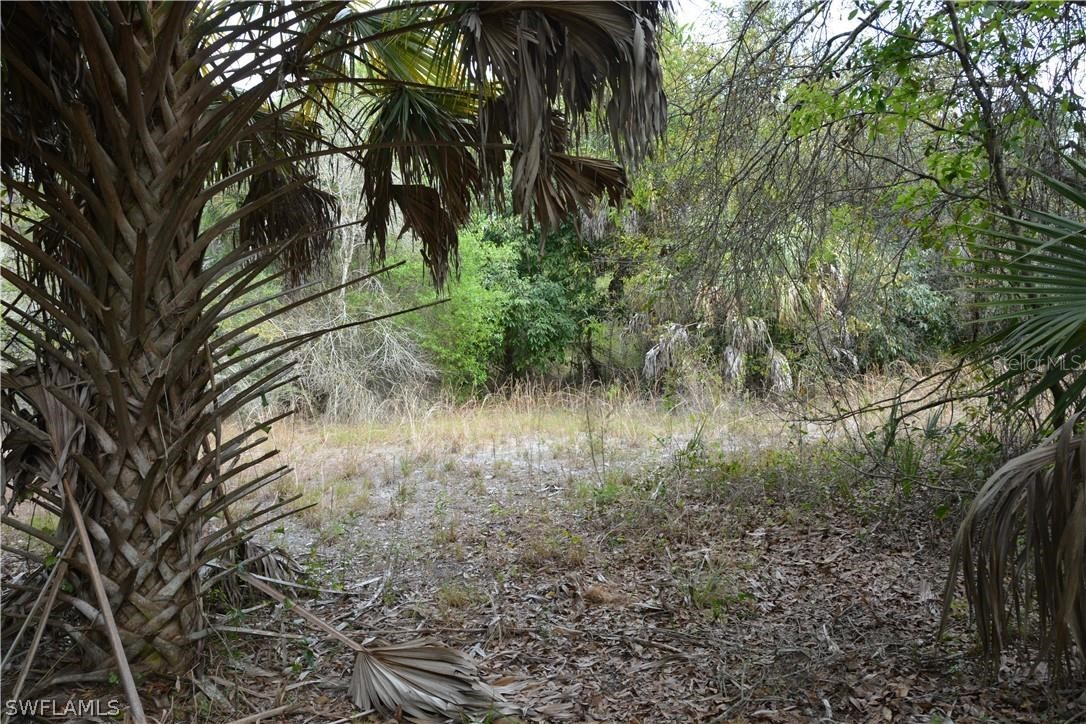 1825 Lavilla Road Punta Gorda, FL 33950 - Photo 10 of 11 Gallery Image 10