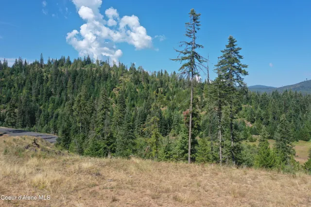 $143,000 | 1 Patriot's Paradise, Fernwood, ID 83830