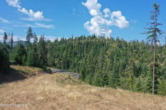 $143,000 | 1 Patriot's Paradise, Fernwood, ID 83830