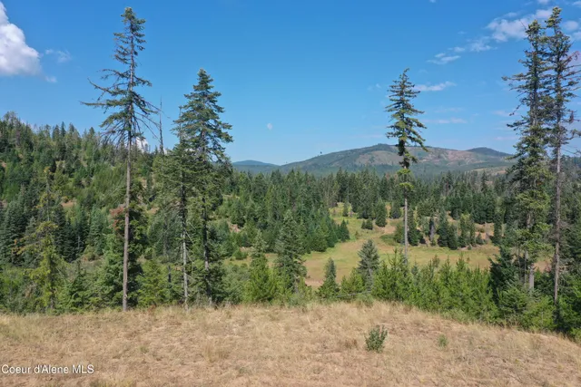 $143,000 | 1 Patriot's Paradise, Fernwood, ID 83830