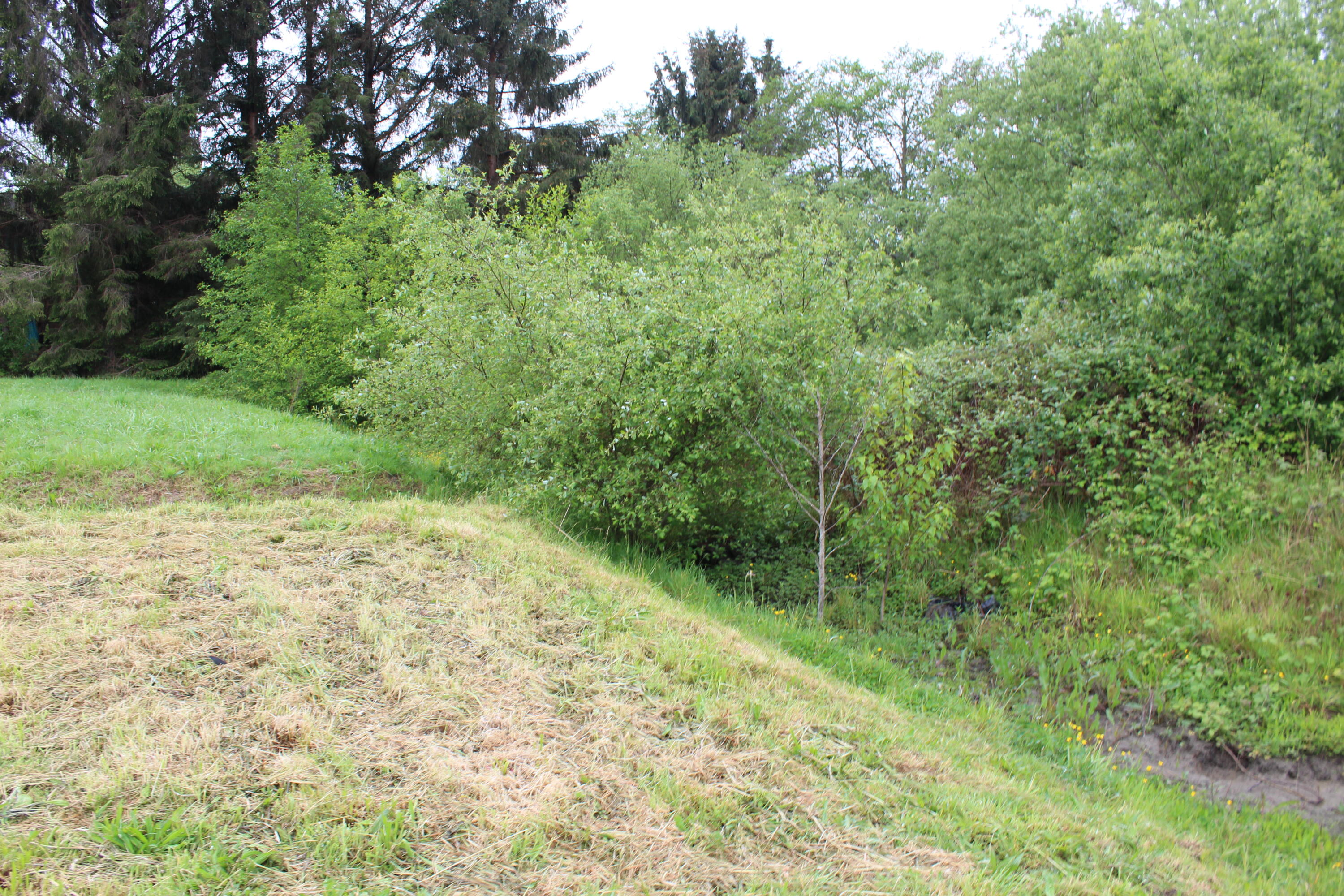1785 Westfall Court Arcata, CA 95521 - Photo 4 of 7