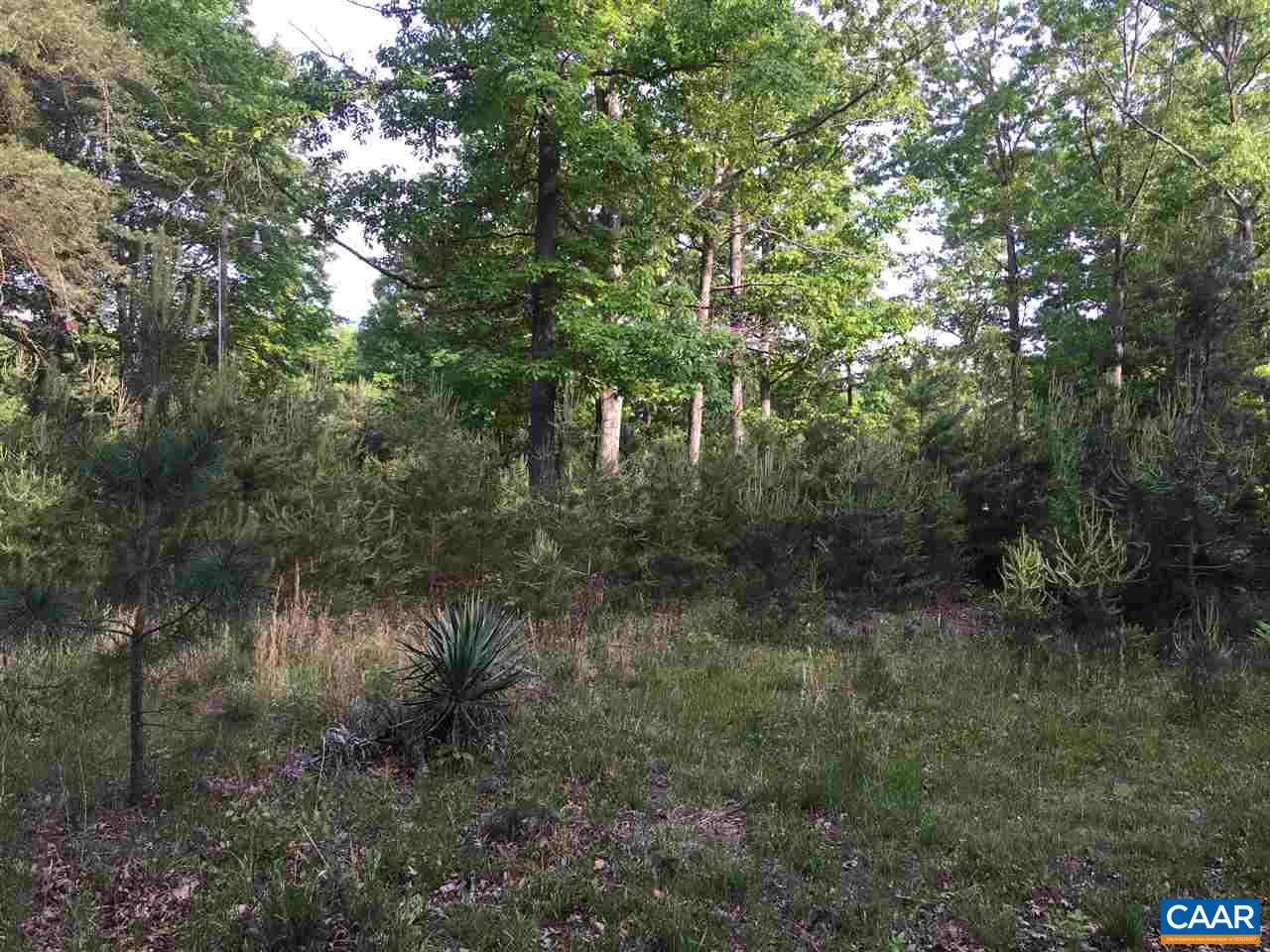 900 Loving Road Gordonsville, VA 22942 - Photo 1 of 4 Gallery Image 1