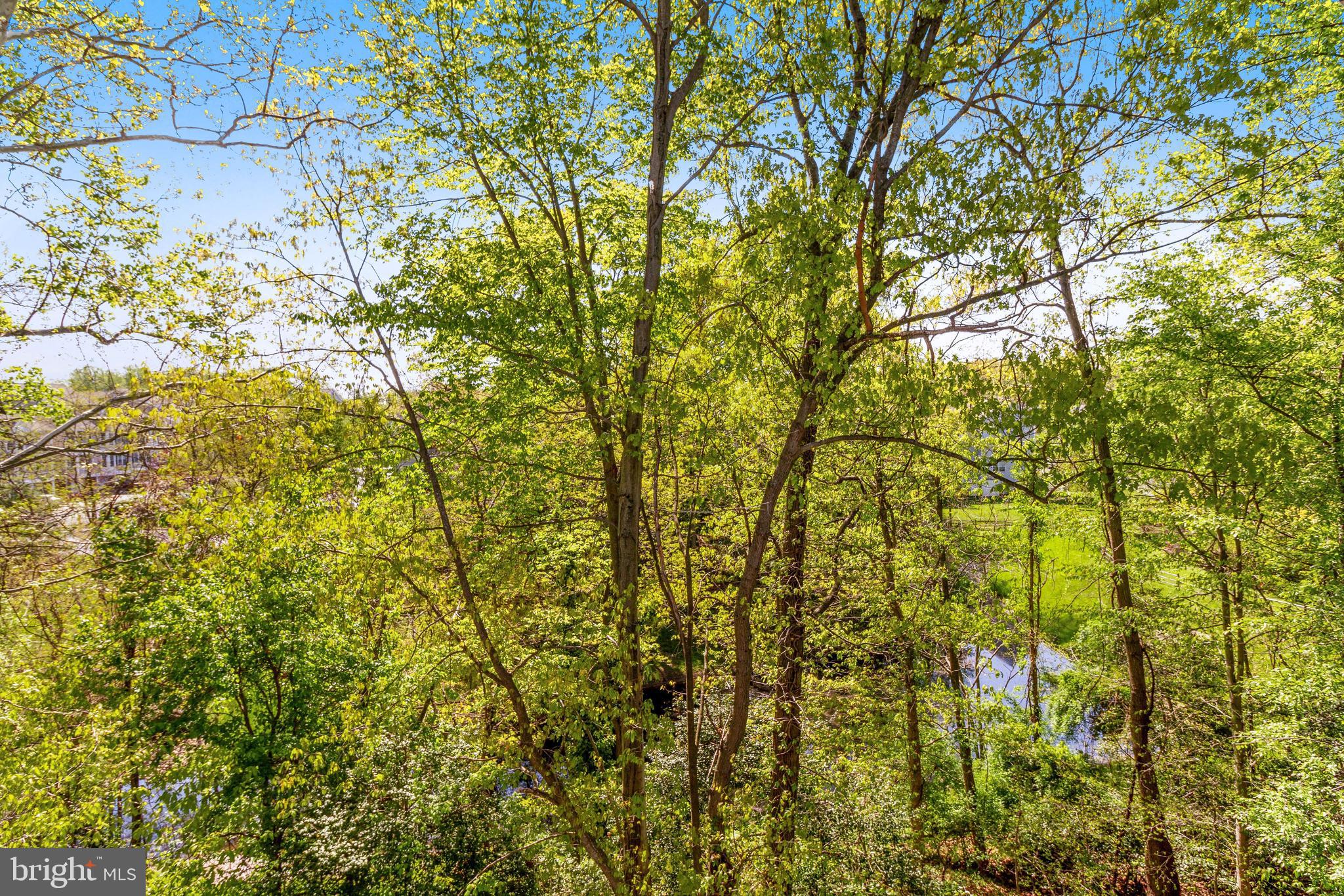 2056 Quaker Way, Unit 14 Annapolis, MD 21401 - Photo 35 of 35