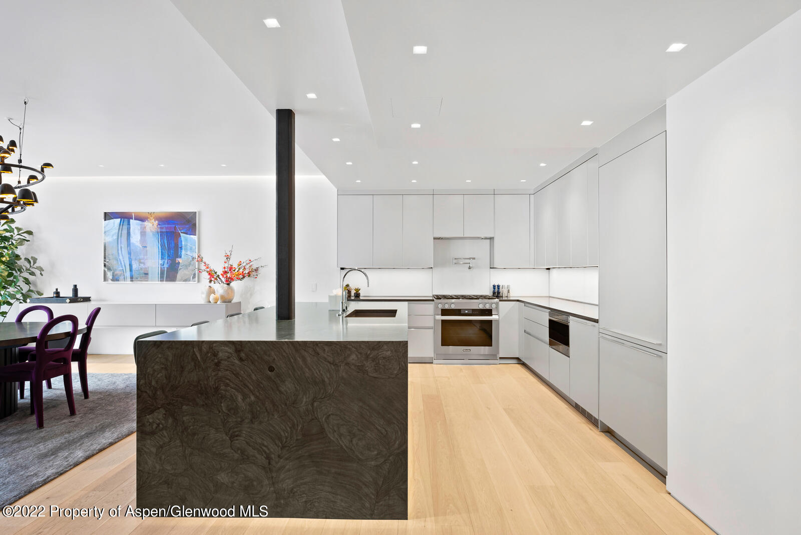 508 East Cooper Avenue, Unit 201 Aspen, CO 81611 - Photo 18 of 54 a large white kitchen with living room a stove a couch with wooden floor