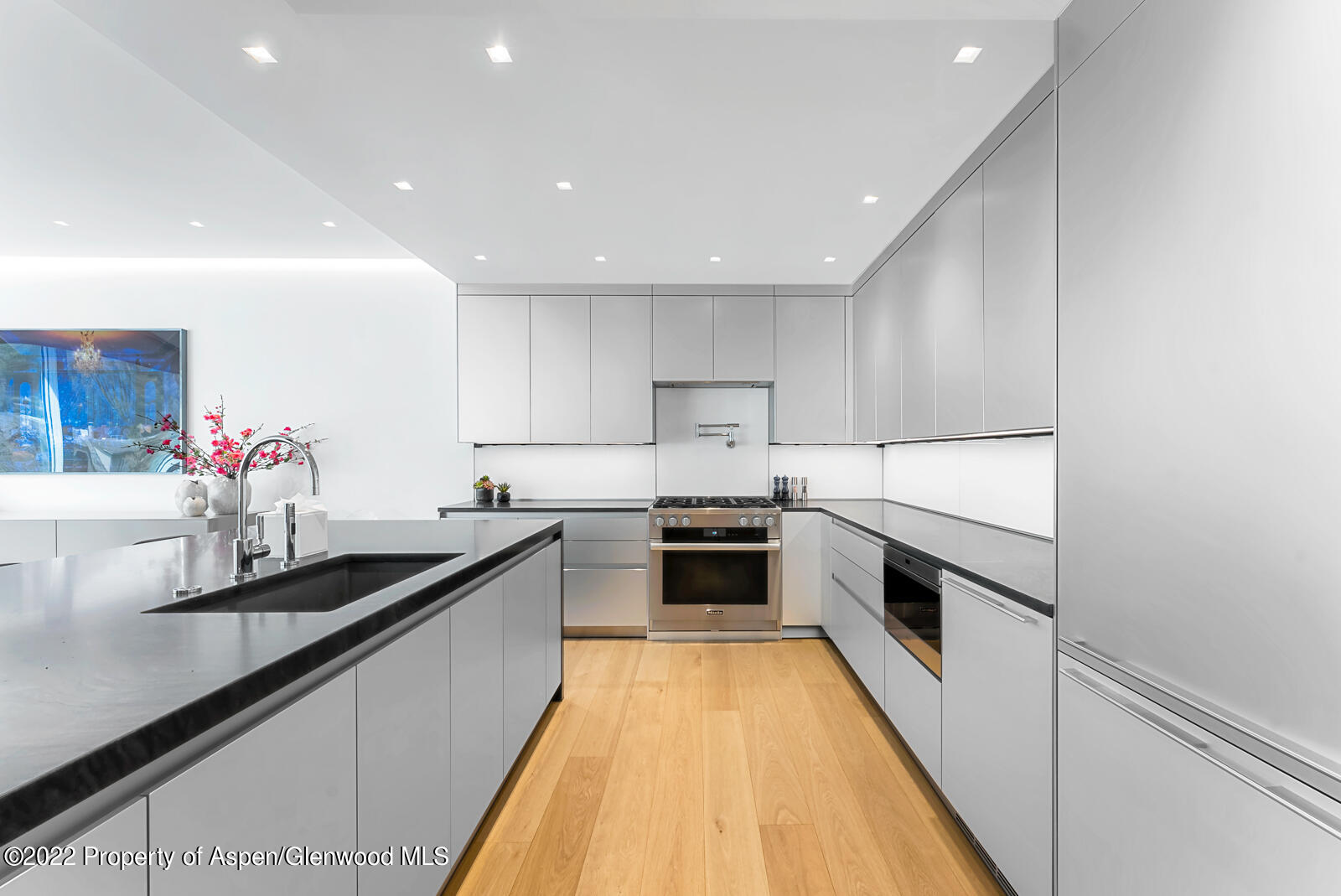 508 East Cooper Avenue, Unit 201 Aspen, CO 81611 - Photo 19 of 54 a kitchen with granite countertop sink stainless steel appliances and cabinets