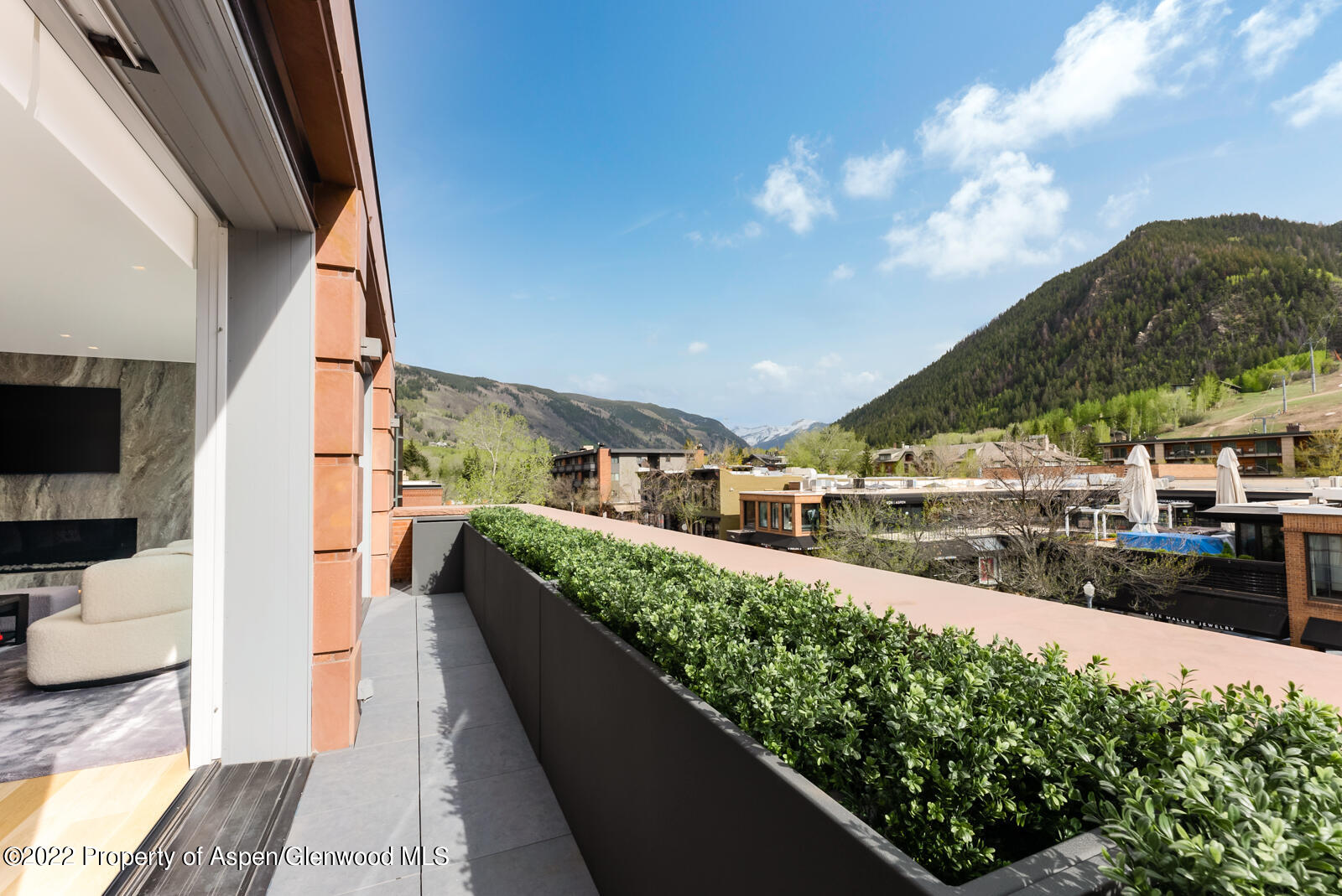 508 East Cooper Avenue, Unit 201 Aspen, CO 81611 - Photo 50 of 54 _LES5889-MLS