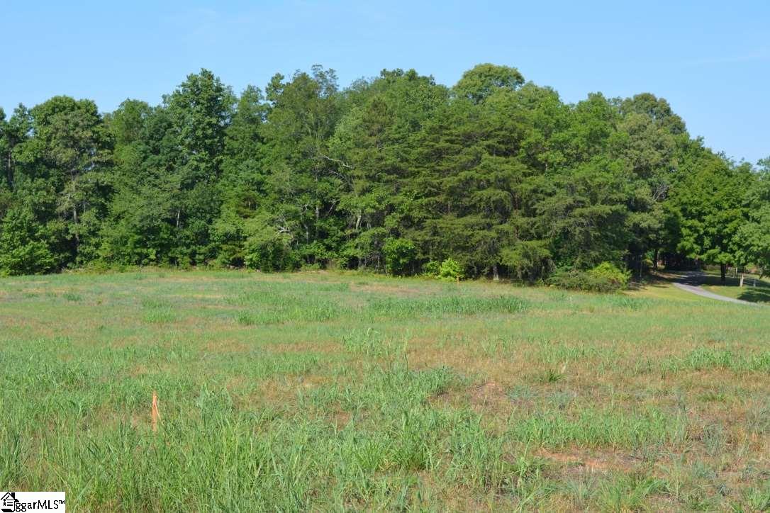 0 Gramling School Road, Unit LOT 3 Inman, SC 29349 - Photo 10 of 26