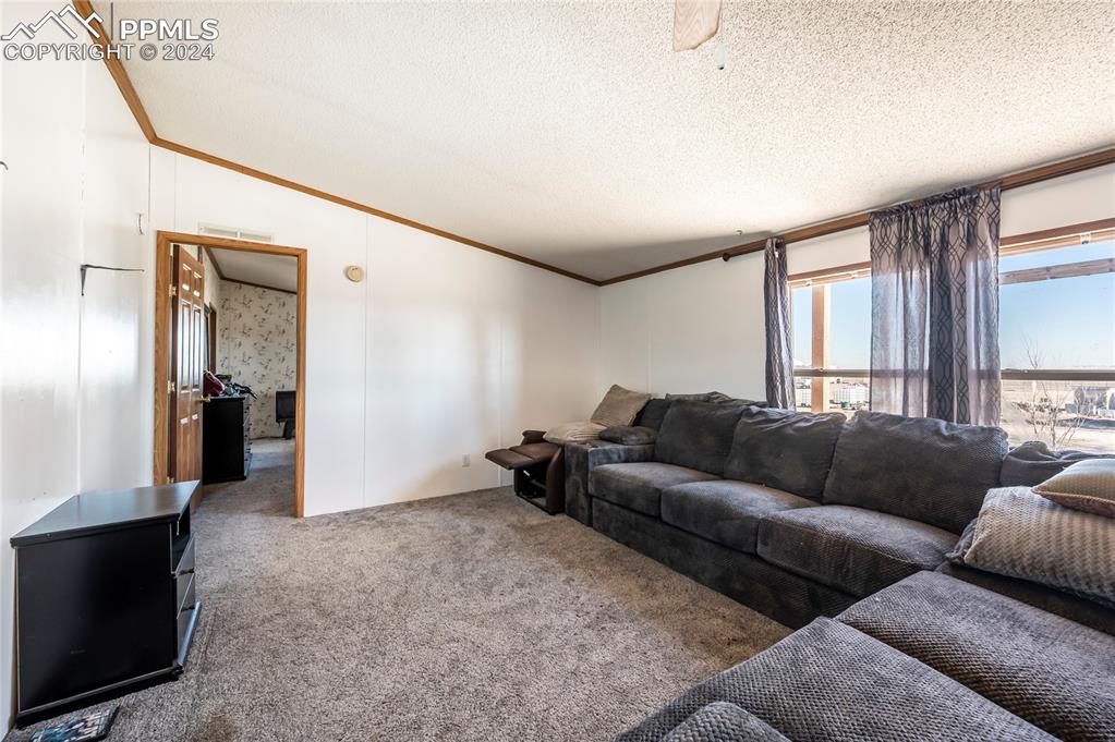 46911 Fields Road Avondale, CO 81022 - Photo 10 of 46