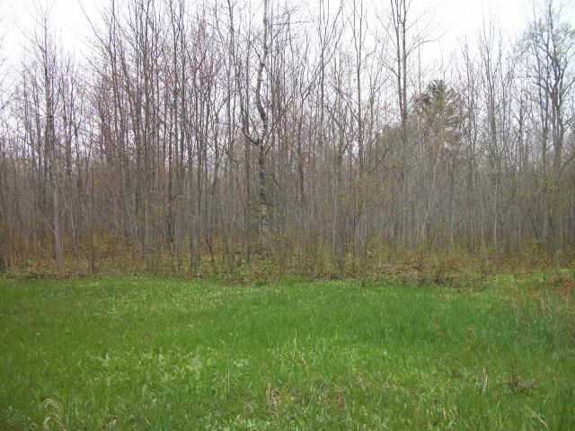 1875 Baker Road Northeast Kalkaska, MI 49646 - Photo 8 of 12 1784792-7.JPG