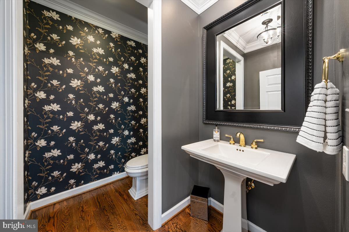 3208 Flagstick Drive Mount Airy, MD 21771 - Photo 29 of 135