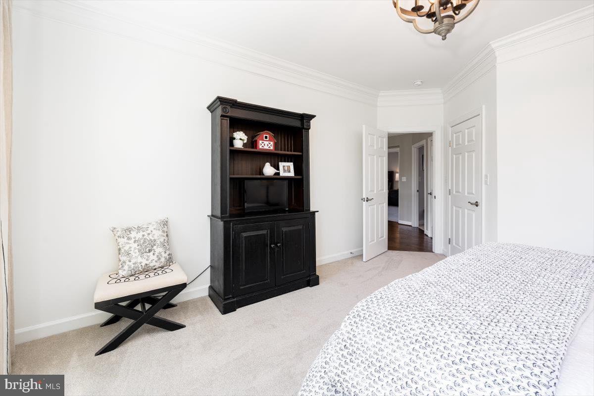 3208 Flagstick Drive Mount Airy, MD 21771 - Photo 69 of 135