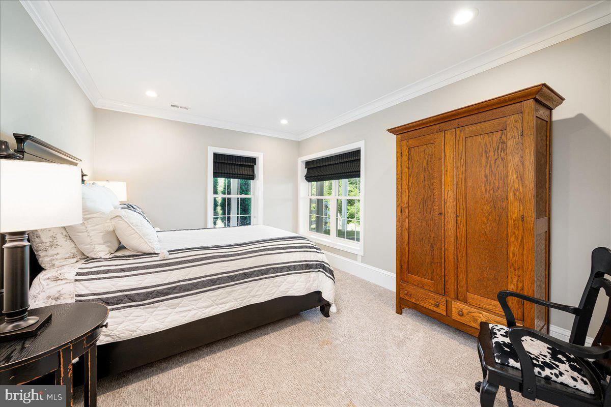 3208 Flagstick Drive Mount Airy, MD 21771 - Photo 82 of 135 Basement bedroom #5