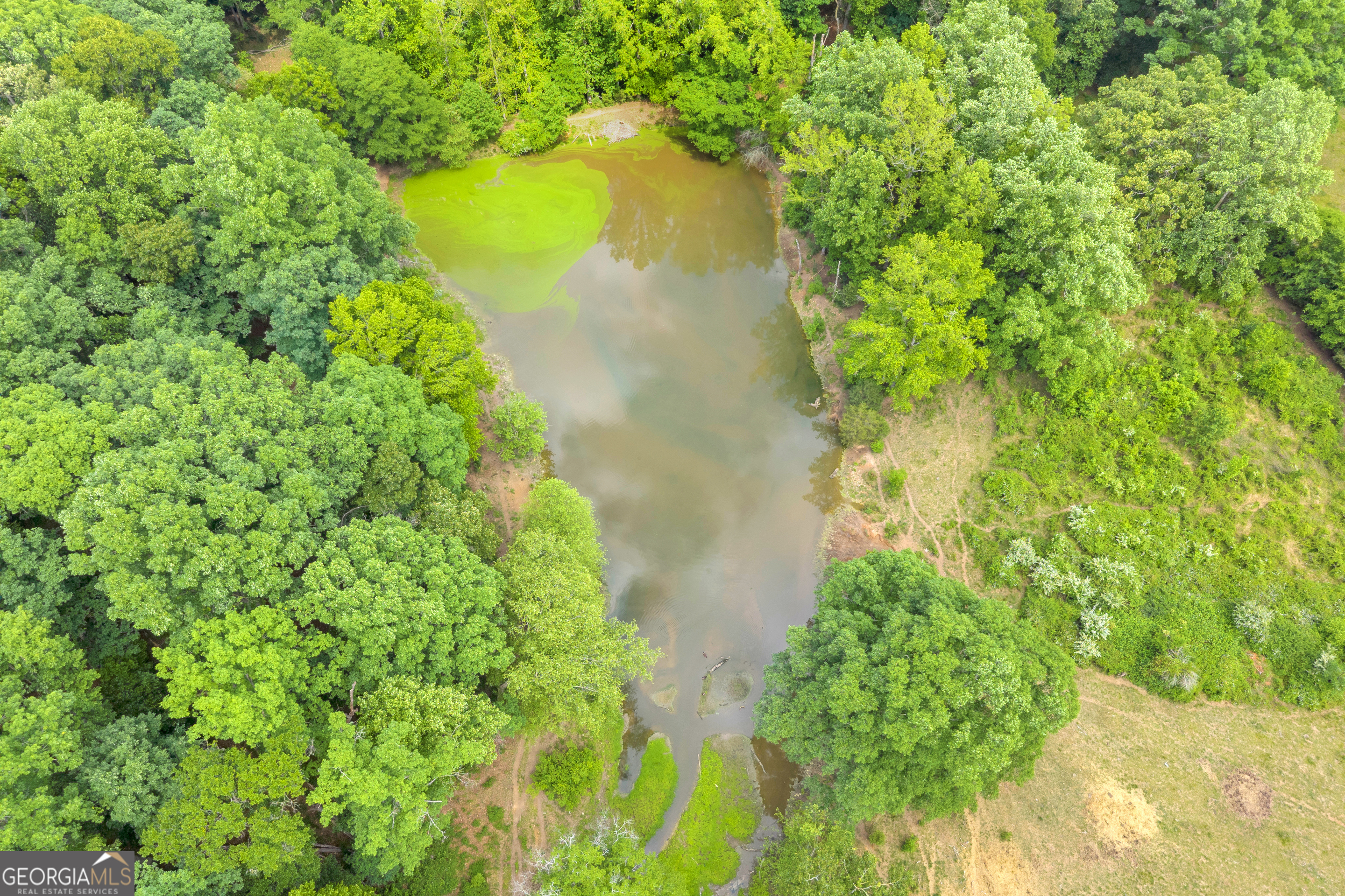 6490 Highway 145 Carnesville, GA 30521 - Photo 15 of 29 a view of a garden with a yard