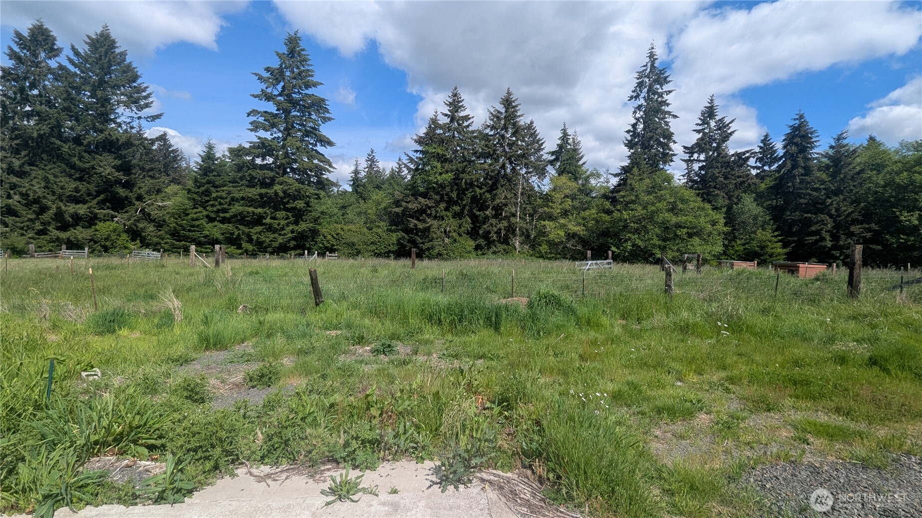 305 Penning Road Chehalis, WA 98532 - Photo 8 of 15