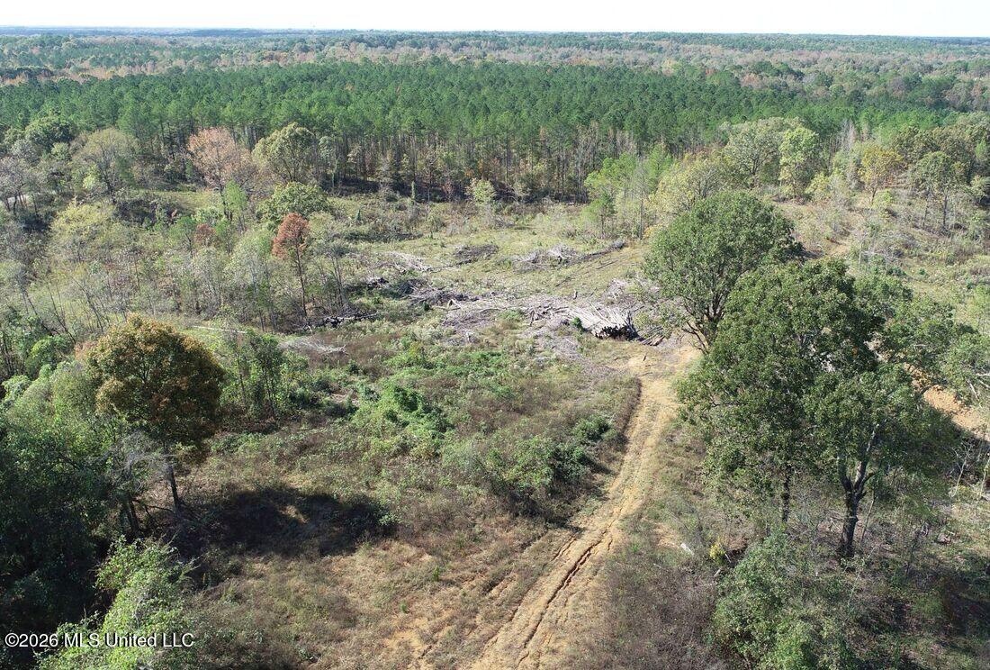 154 County Road Tillatoba, MS 38961 - Photo 19 of 58 4kgrdn58-orig_orig