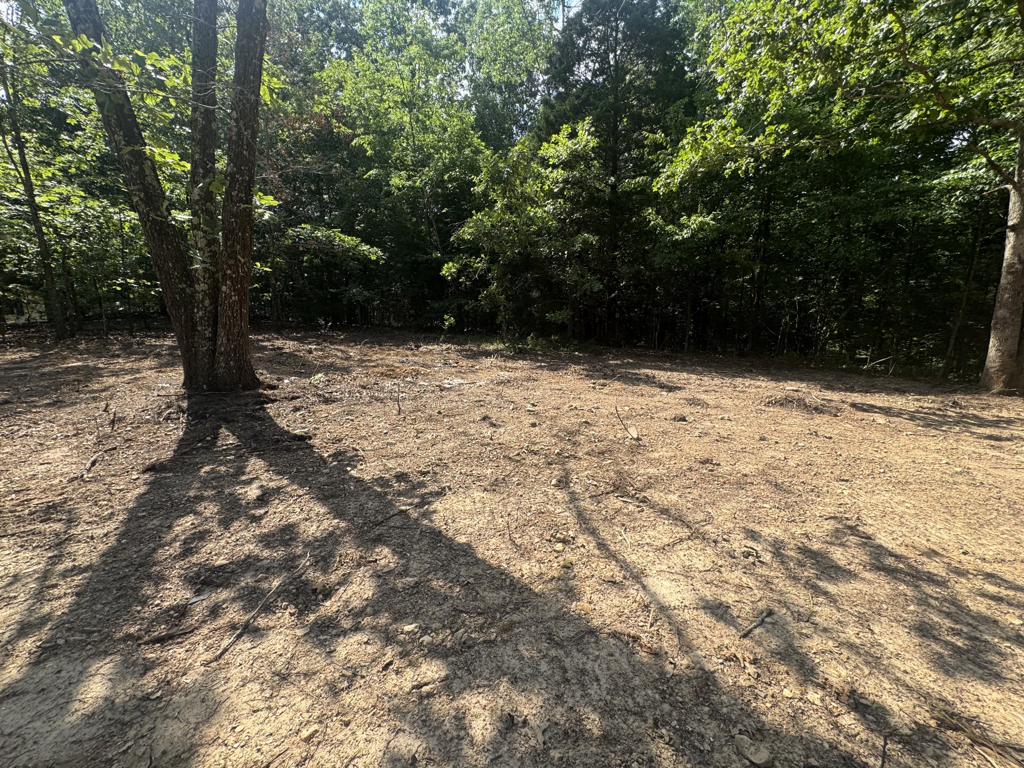 1 Commissary Ridge Road Indian Mound, TN 37079 - Photo 8 of 9