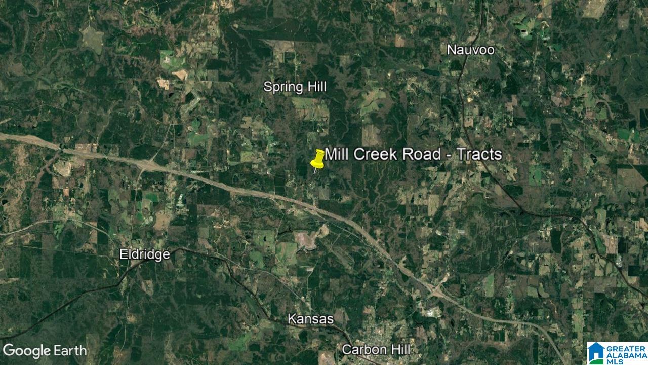 Tract G Mill Creek Road, Unit G Nauvoo, AL 35578 - Photo 5 of 5