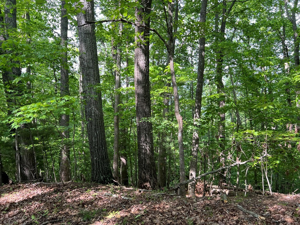 Lot 26 Longview Ridge Hayesville, NC 28904 - Photo 4 of 17