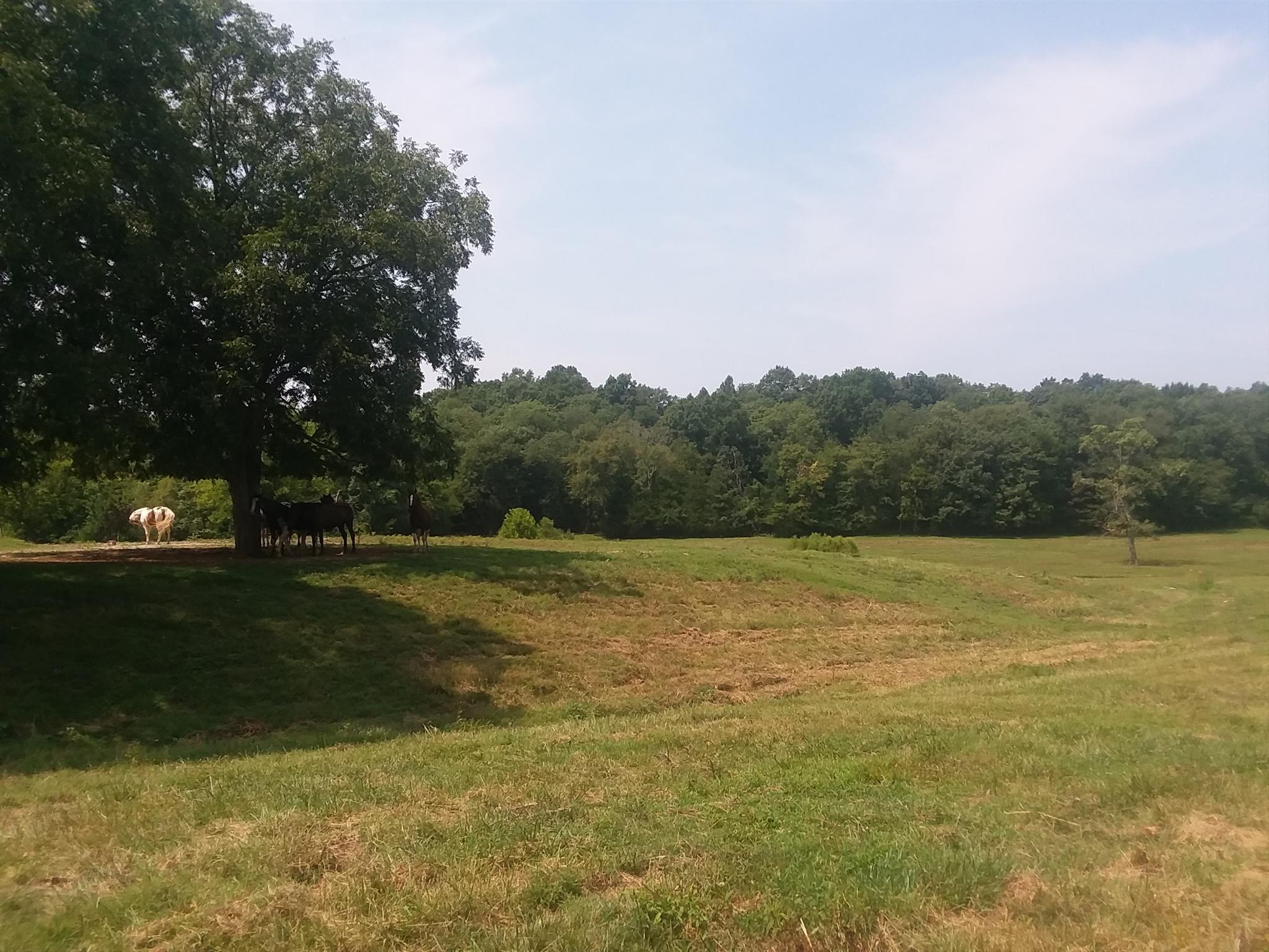 152 Kyle Hollow Road Alexandria, TN 37012 - Photo 18 of 30 Gallery Image 18