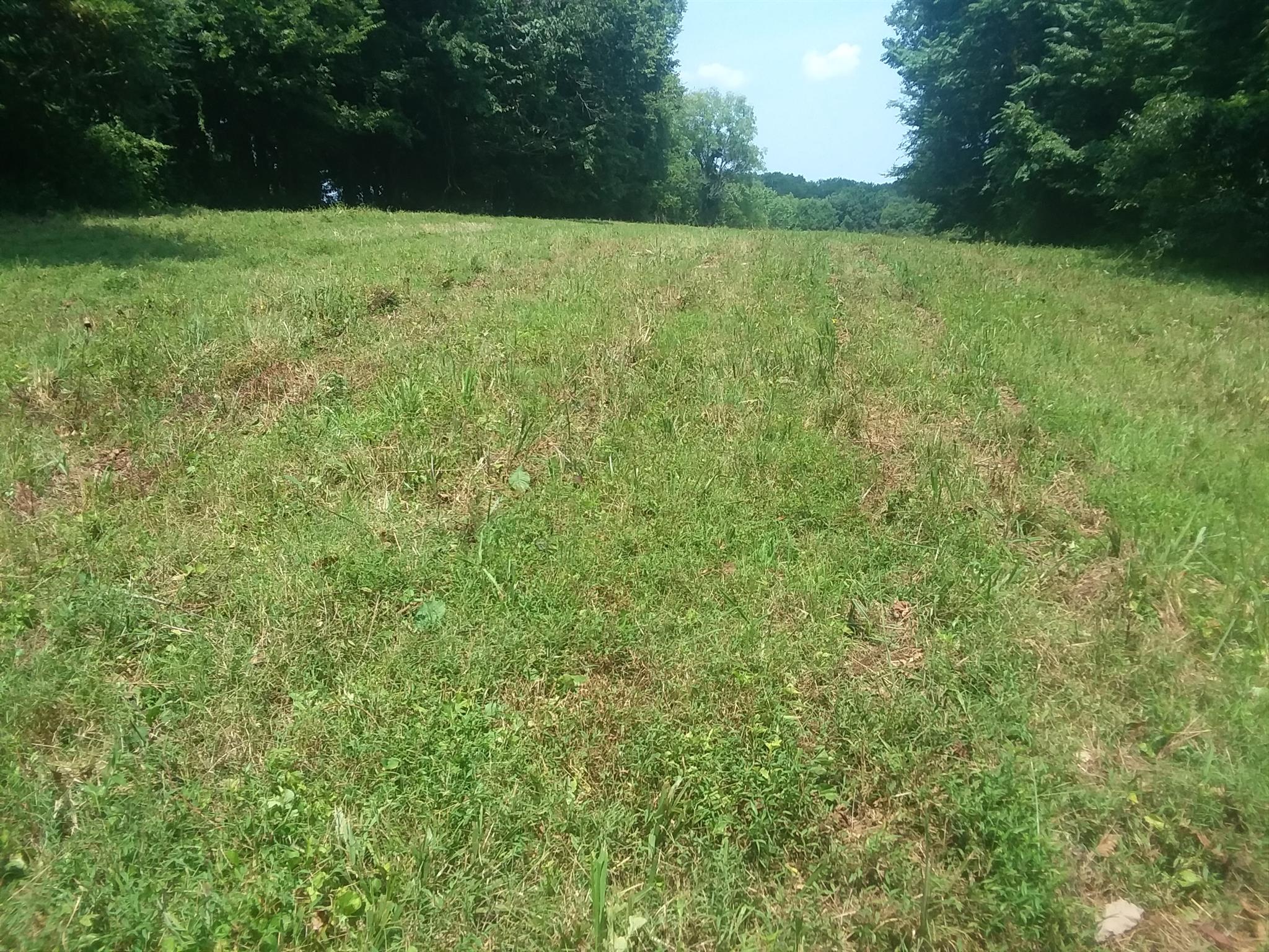 152 Kyle Hollow Road Alexandria, TN 37012 - Photo 27 of 30 Gallery Image 27