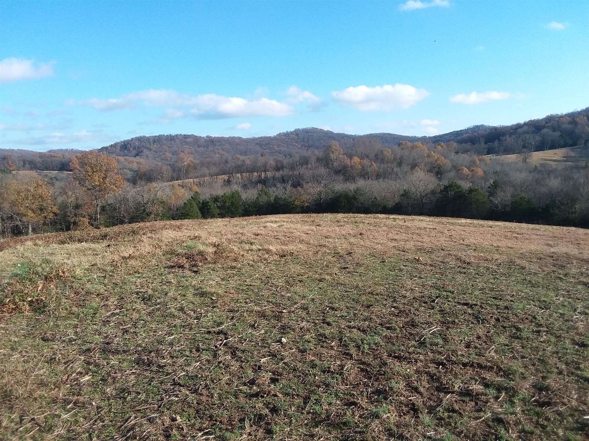 152 Kyle Hollow Road Alexandria, TN 37012 - Photo 28 of 30 Gallery Image 28
