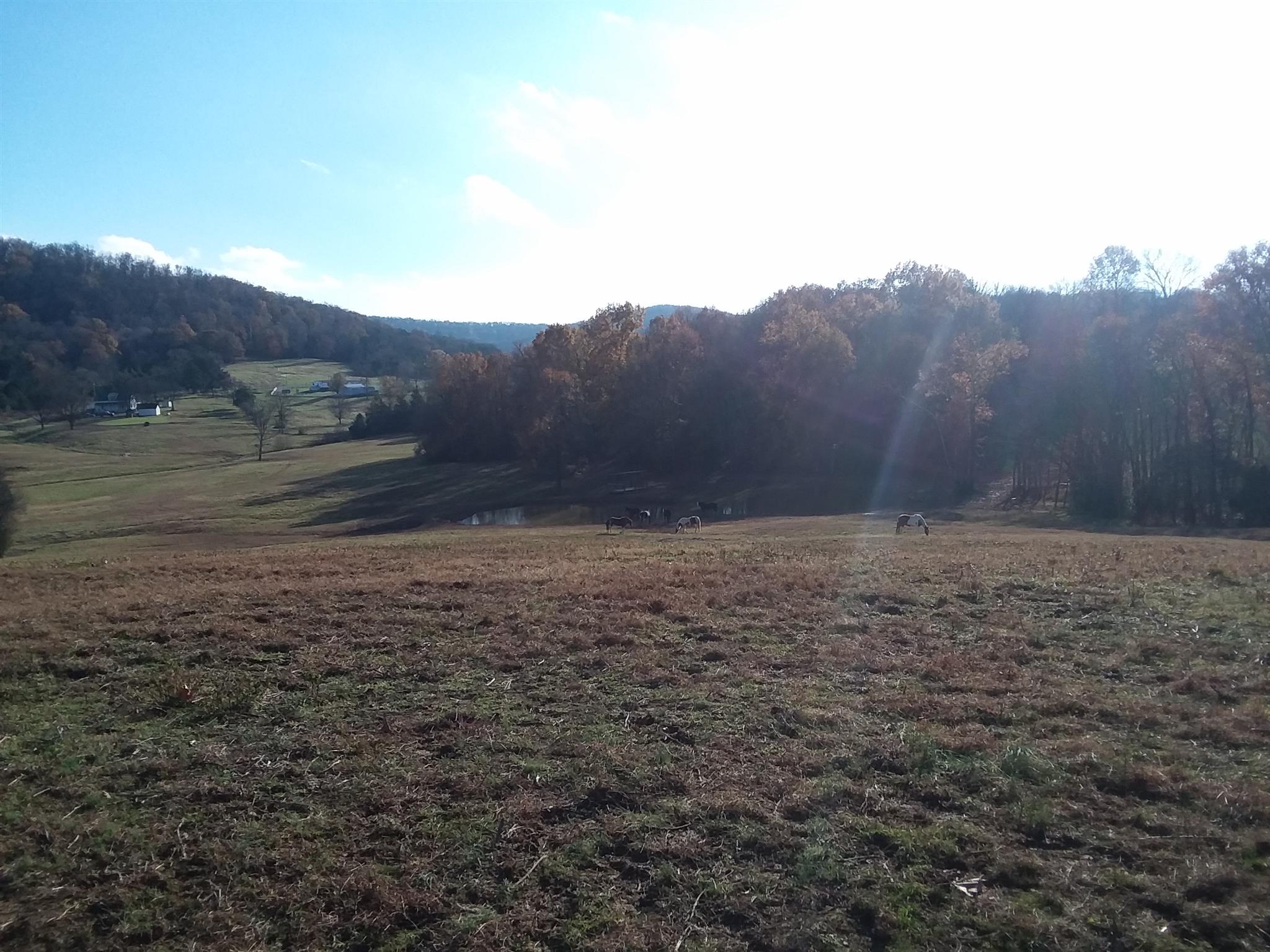152 Kyle Hollow Road Alexandria, TN 37012 - Photo 29 of 30 Gallery Image 29