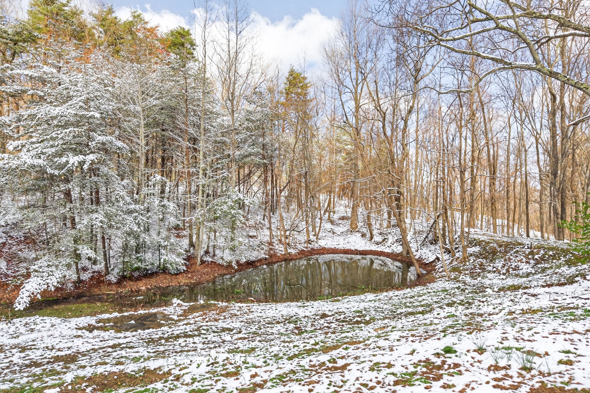 193 Spur Road Sparta, TN 38583 - Photo 34 of 45