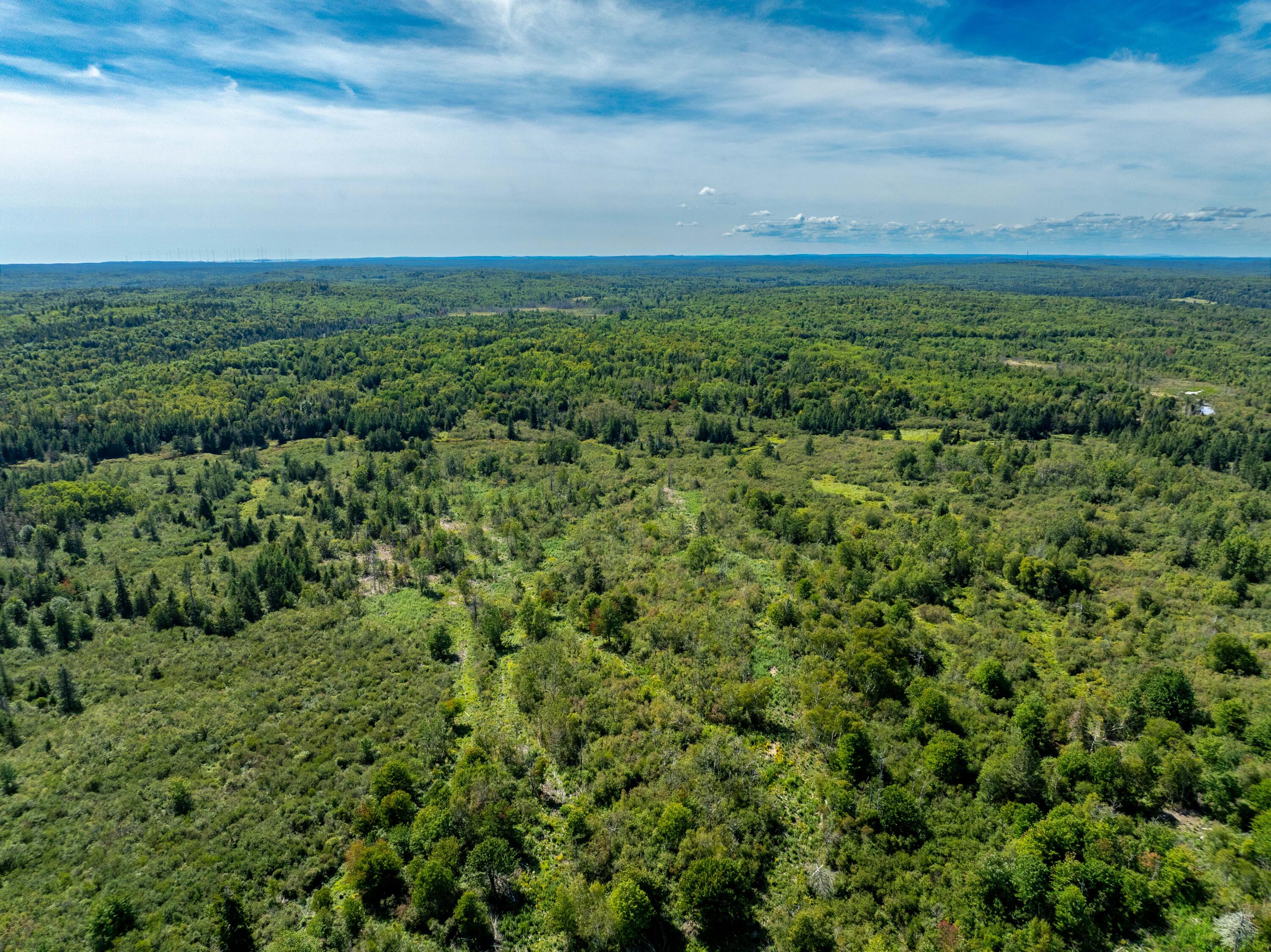 2 Map Lubec, ME 04652 - Photo 13 of 79 530+- acres Trescott Twp Maine (7 of 80)