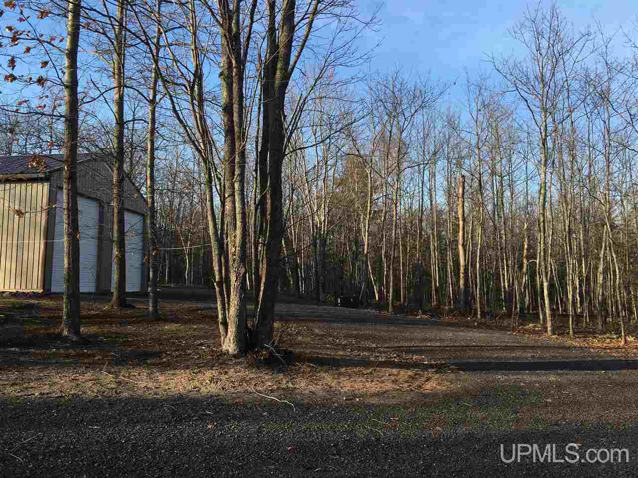 26470 East Grosse Pointe Shores Road Hancock, MI 49930 - Photo 10 of 34