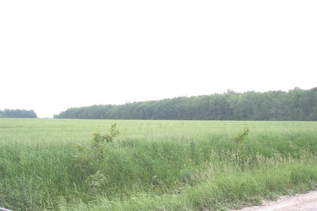 0 Kilgore Croswell, MI 48422 - Photo 3 of 9