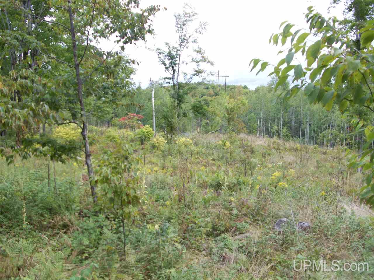 Tbd Fordville Road Foster City, MI 49807 - Photo 7 of 18