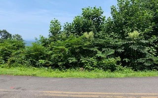 6 B Ramey Mountain Road Hiawassee, GA 30546 - Photo 1 of 3 Main View