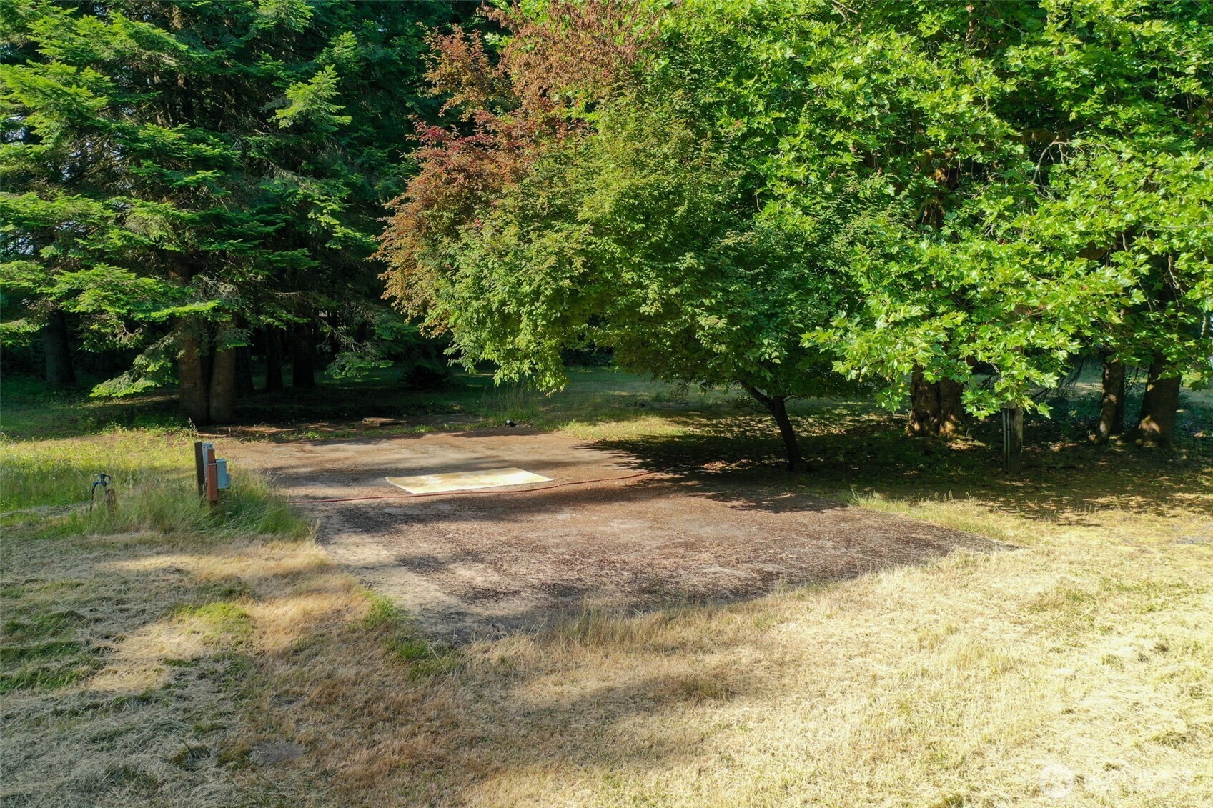 8815 Prather Road Southwest Centralia, WA 98531 - Photo 37 of 40 a view of a yard with a tree