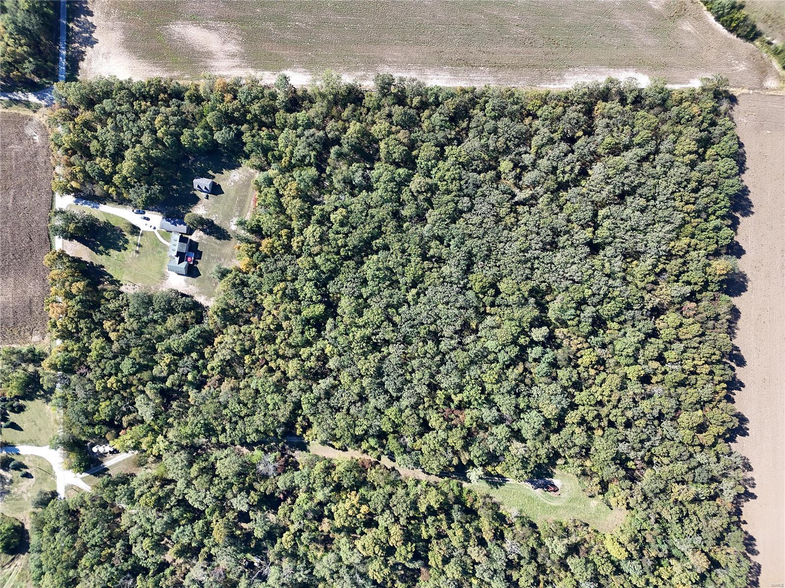 24401 Florida Road Ashley, IL 62808 - Photo 60 of 81