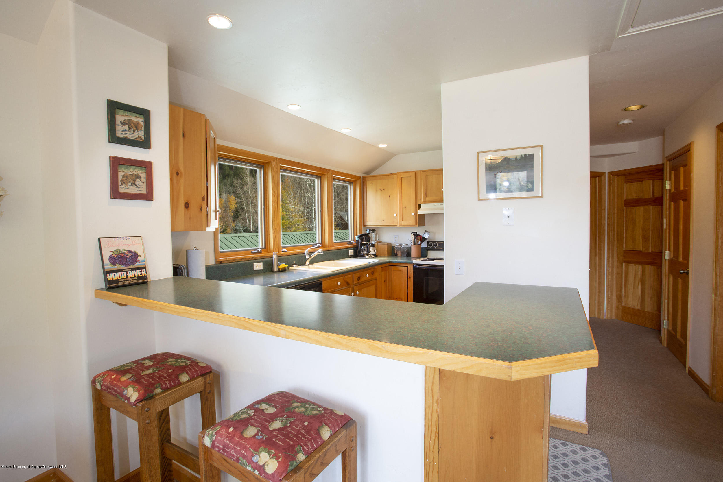 385 Redstone Boulevard Redstone, CO 81623 - Photo 14 of 36 a view of a kitchen with stainless steel appliances granite countertop a sink and a refrigerator