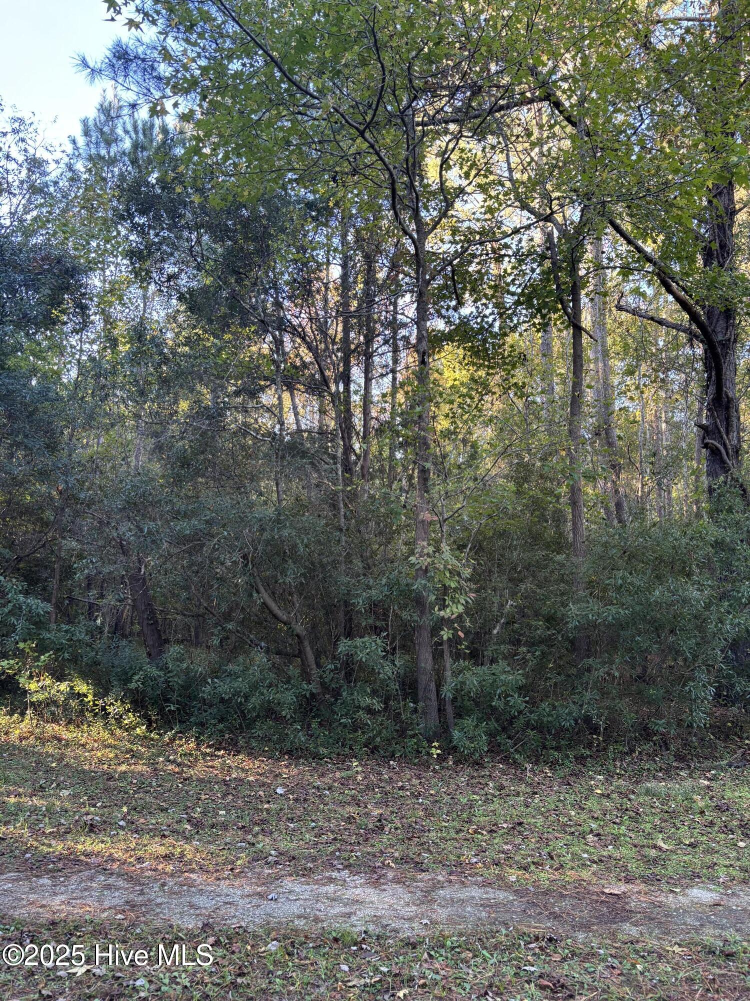 0 Canal Road Rocky Point, NC 28457 - Photo 2 of 4 IMG_5238