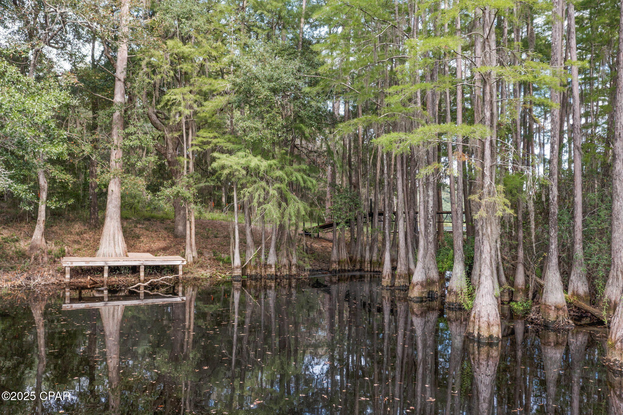 2730 Mosquito Road Chipley, FL 32428 - Photo 49 of 80