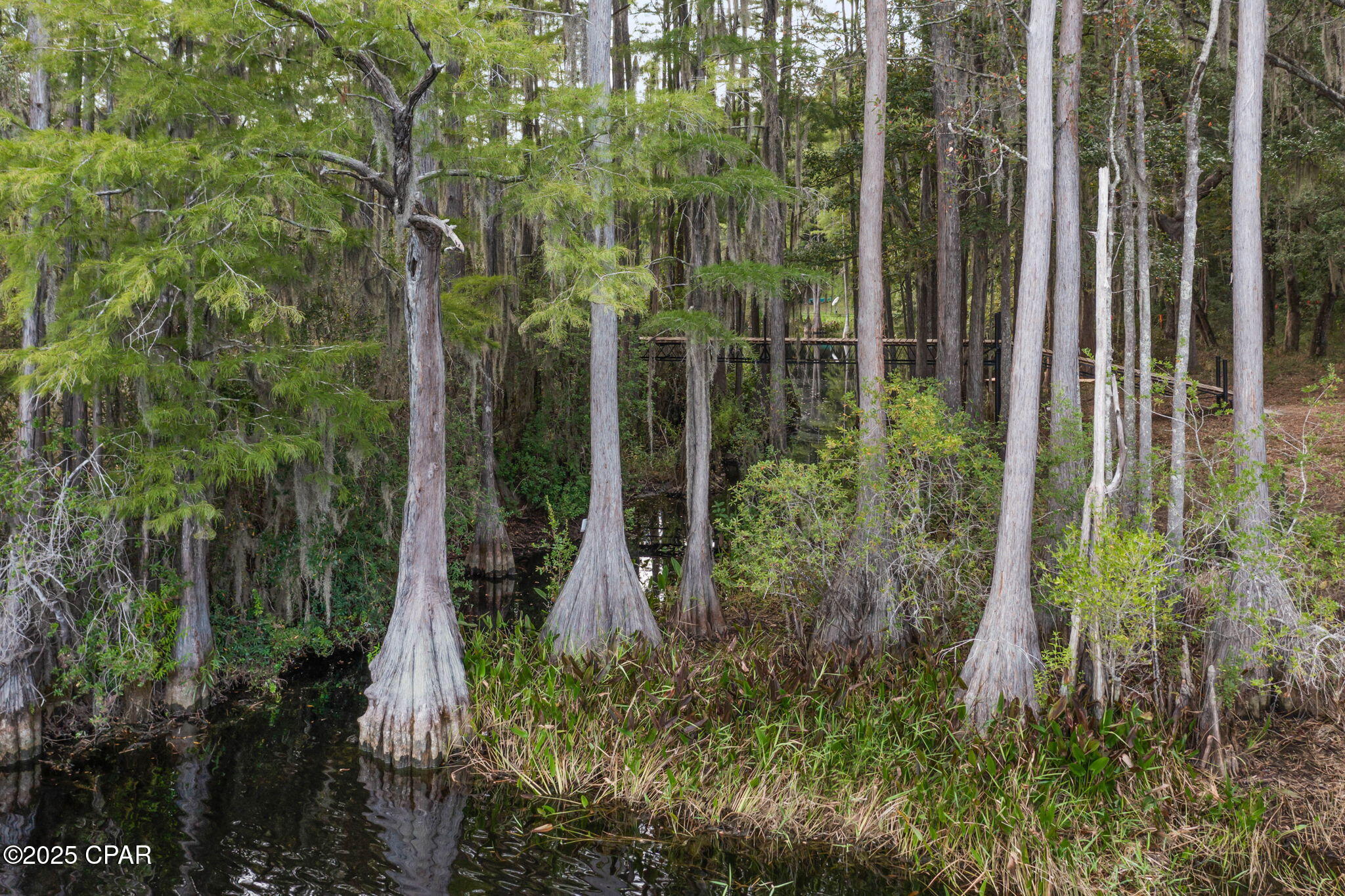 2730 Mosquito Road Chipley, FL 32428 - Photo 62 of 80