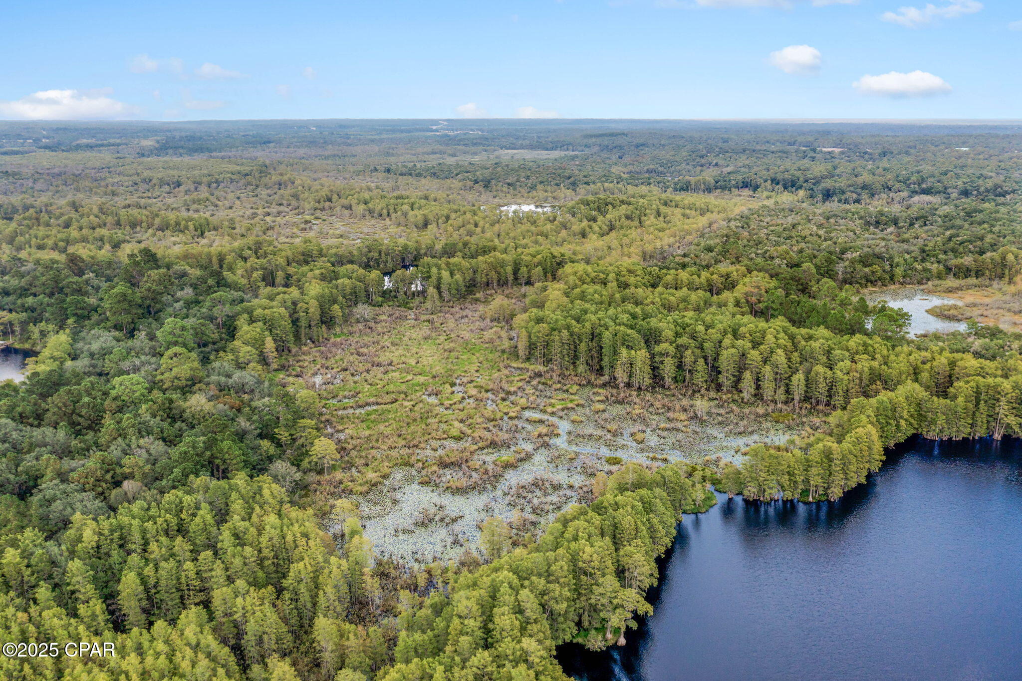 2730 Mosquito Road Chipley, FL 32428 - Photo 66 of 80