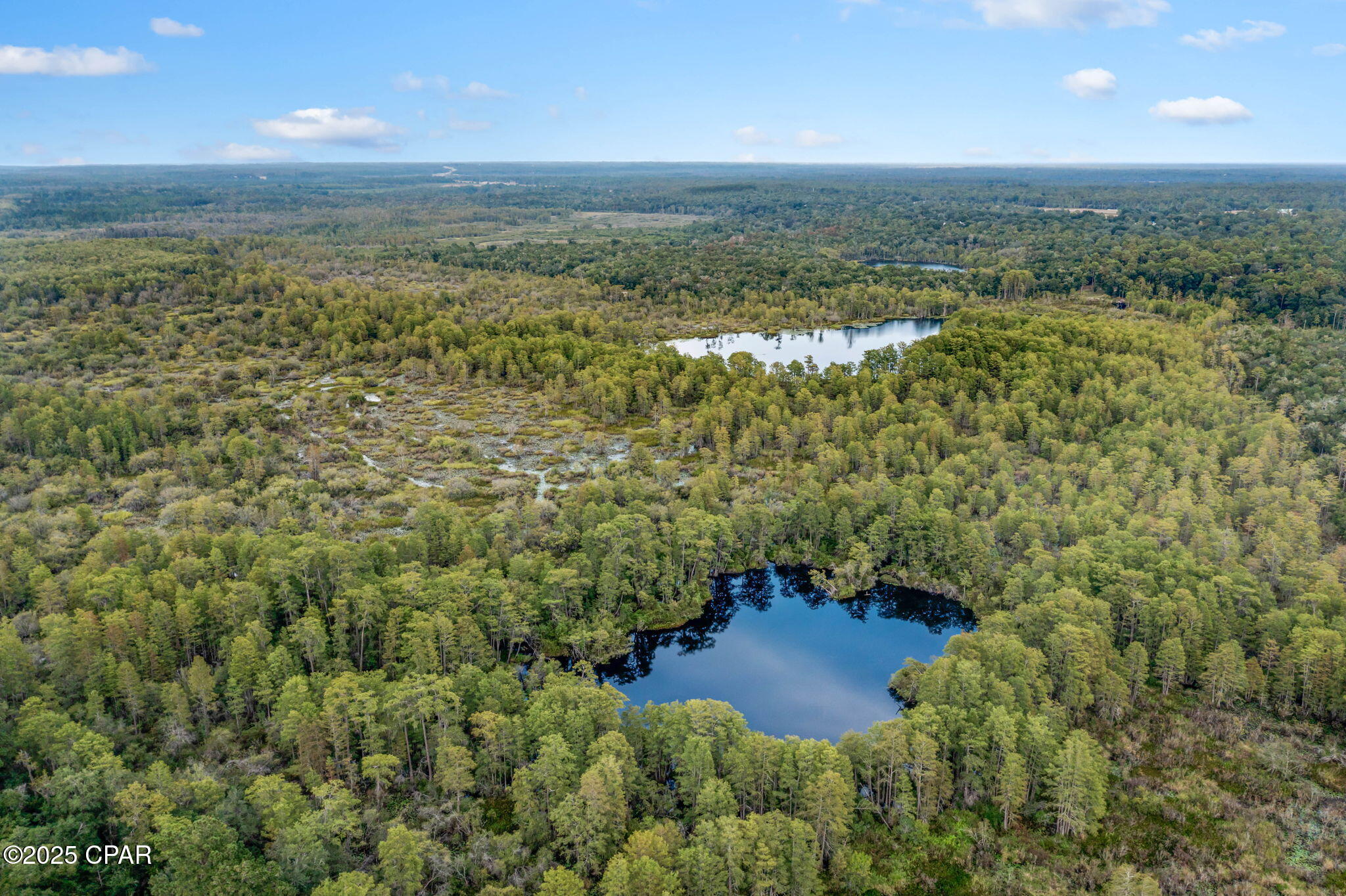 2730 Mosquito Road Chipley, FL 32428 - Photo 67 of 80