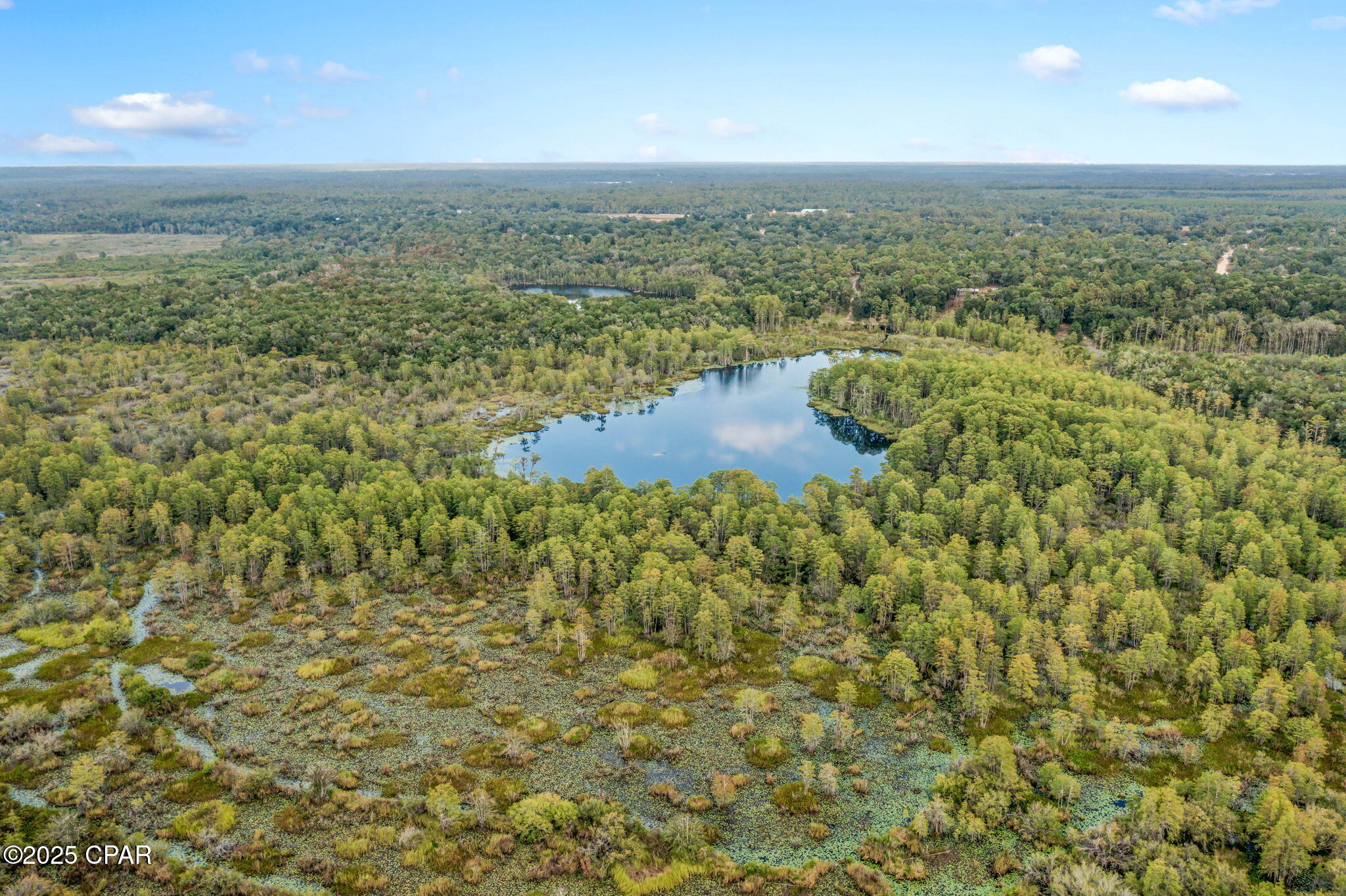 2730 Mosquito Road Chipley, FL 32428 - Photo 68 of 80