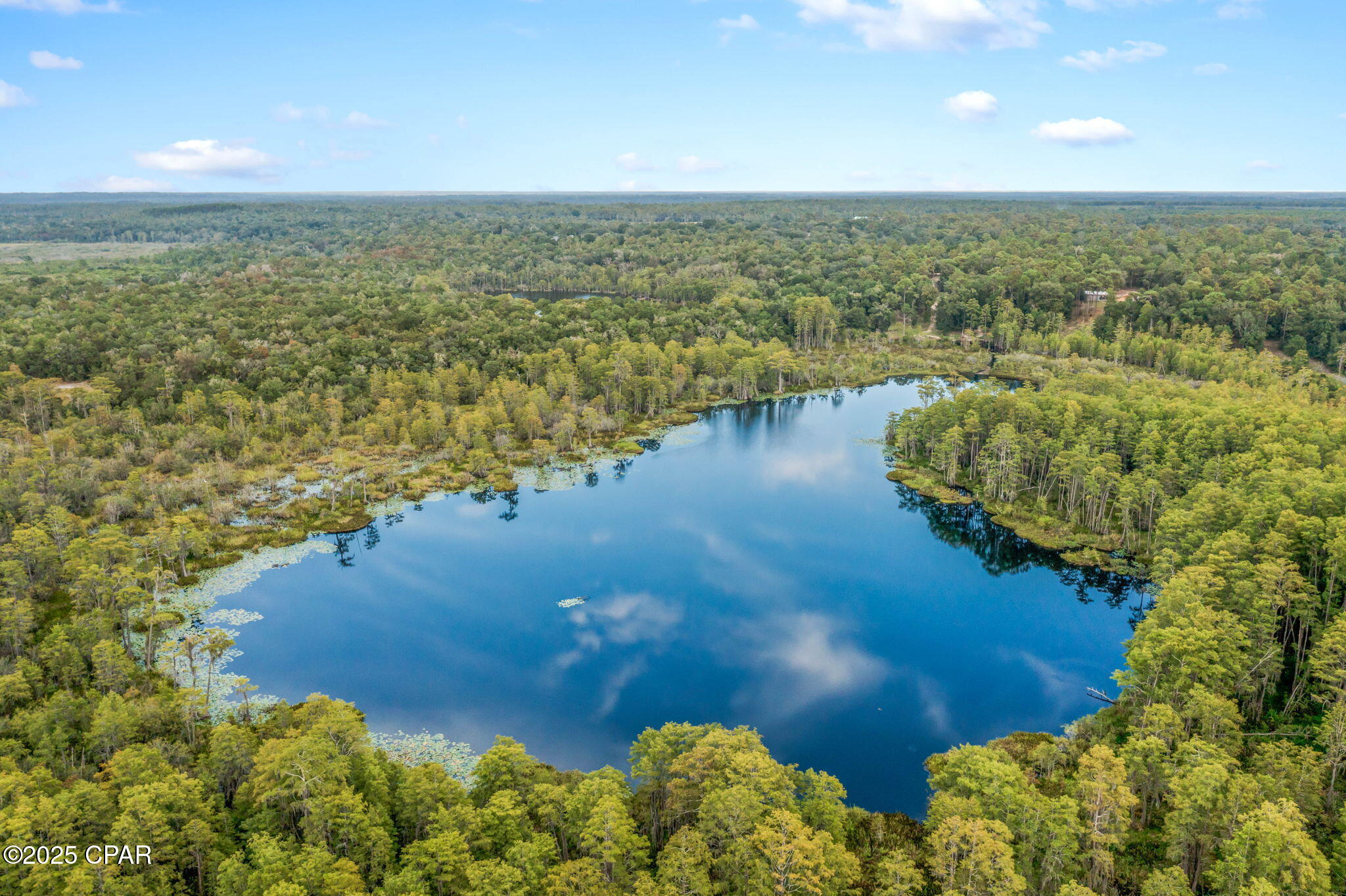 2730 Mosquito Road Chipley, FL 32428 - Photo 69 of 80