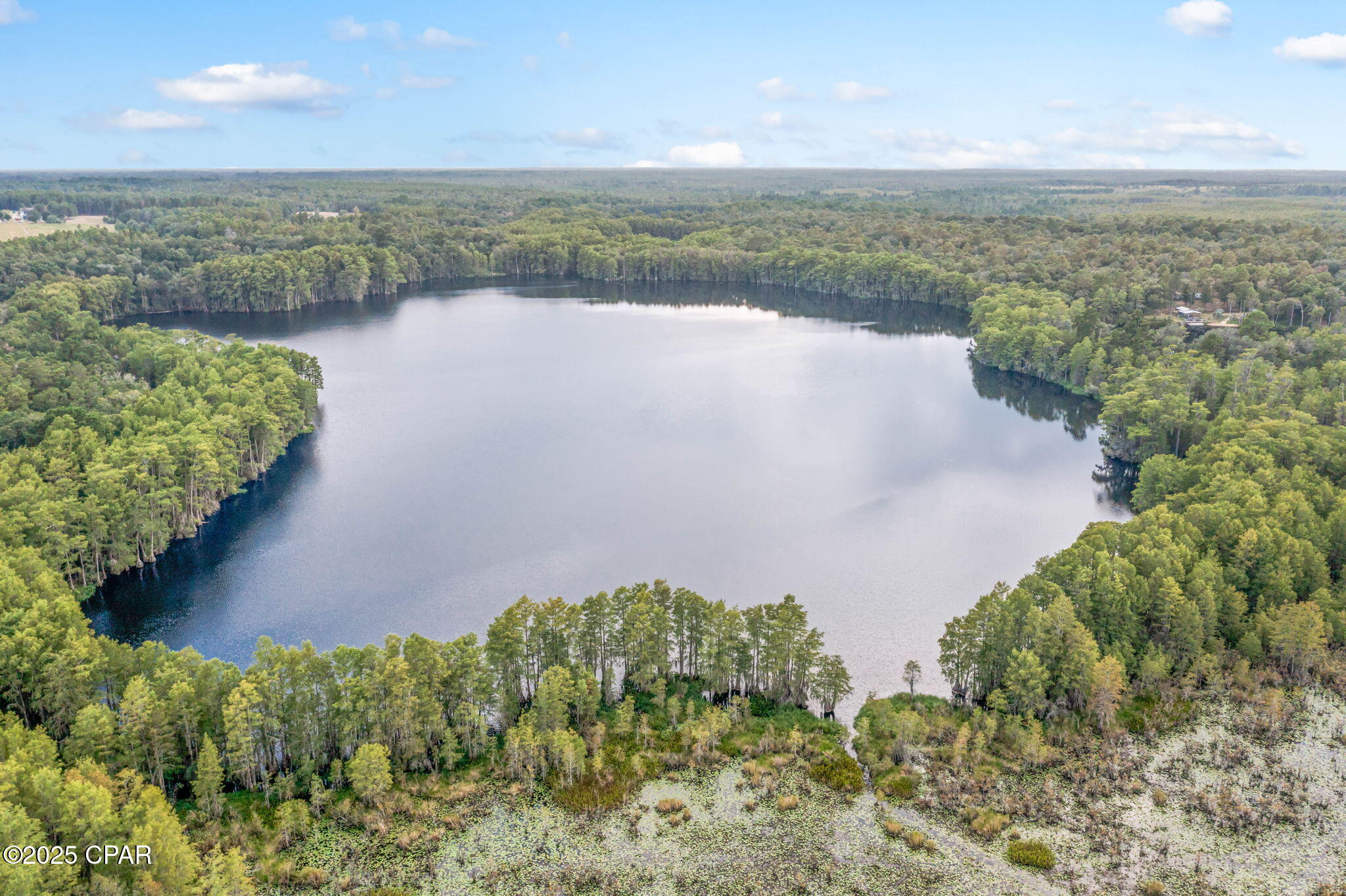 2730 Mosquito Road Chipley, FL 32428 - Photo 71 of 80