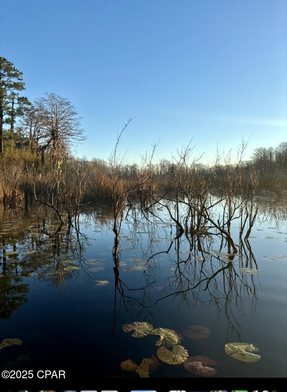 2730 Mosquito Road Chipley, FL 32428 - Photo 79 of 80